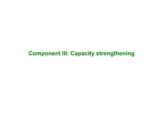 Component III: Capacity strengthening
 