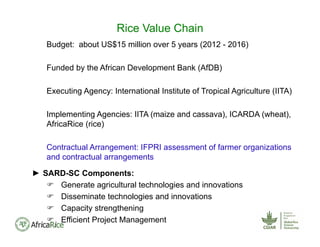 Rice Value Chain
Budget: about US$15 million over 5 years (2012 - 2016)
Funded by the African Development Bank (AfDB)
Executing Agency: International Institute of Tropical Agriculture (IITA)
Implementing Agencies: IITA (maize and cassava), ICARDA (wheat),
AfricaRice (rice)
Contractual Arrangement: IFPRI assessment of farmer organizations
and contractual arrangements
► SARD-SC Components:
 Generate agricultural technologies and innovations
 Disseminate technologies and innovations
 Capacity strengthening
 Efficient Project Management
 