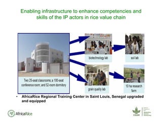 • AfricaRice Regional Training Center in Saint Louis, Senegal upgraded
and equipped
Enabling infrastructure to enhance competencies and
skills of the IP actors in rice value chain
 
