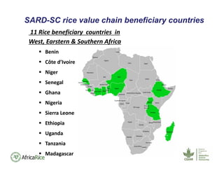 SARD-SC rice value chain beneficiary countries
11 Rice beneficiary  countries  in 
West, Earstern & Southern Africa
 Benin
 Côte d’Ivoire
 Niger
 Senegal
 Ghana
 Nigeria
 Sierra Leone
 Ethiopia
 Uganda
 Tanzania
 Madagascar
 