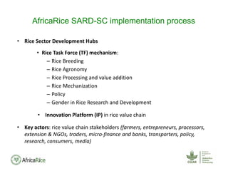AfricaRice SARD-SC implementation process
• Rice Sector Development Hubs
• Rice Task Force (TF) mechanism:
– Rice Breeding
– Rice Agronomy
– Rice Processing and value addition
– Rice Mechanization
– Policy
– Gender in Rice Research and Development
• Innovation Platform (IP) in rice value chain
• Key actors: rice value chain stakeholders (farmers, entrepreneurs, processors, 
extension & NGOs, traders, micro‐finance and banks, transporters, policy, 
research, consumers, media)
 