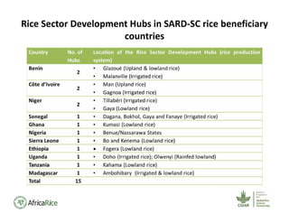Rice Sector Development Hubs in SARD‐SC rice beneficiary 
countries 
 
