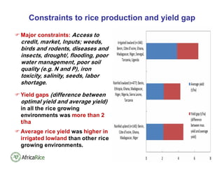 Constraints to rice production and yield gap
Major constraints: Access to
credit, market, Inputs; weeds,
birds and rodents, diseases and
insects, drought/, flooding, poor
water management, poor soil
quality (e.g. N and P), iron
toxicity, salinity, seeds, labor
shortage.
Yield gaps (difference between
optimal yield and average yield)
in all the rice growing
environments was more than 2
t/ha
Average rice yield was higher in
irrigated lowland than other rice
growing environments.
 