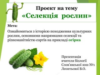 Селекція рослин. Огірки.