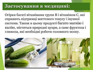 Селекція рослин. Огірки.