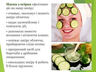 Селекція рослин. Огірки.