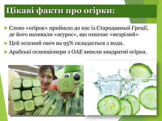 Селекція рослин. Огірки.