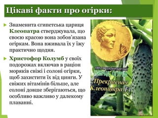 Селекція рослин. Огірки.
