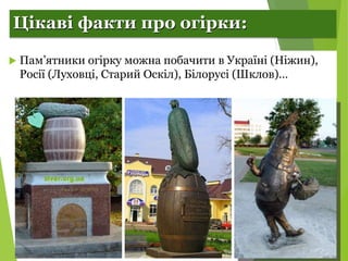 Селекція рослин. Огірки.