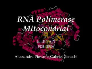 RNA Polimerase
  Mitocondrial
            (mtRNAP)
             PDB: 3PSA

Alessandra Piovan e Gabriel Cenachi
 