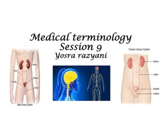 Medical terminology
Session 9
Yosra razyani
 