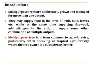 MTs for Problem Soils | PPTX