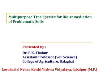 Multipurpose Tree Species for Bio-remediation
of Problematic Soils
Presented By :
Dr. R.K. Thakur
Assistant Professor (Soil Science)
College of Agriculture, Balaghat
Jawaharlal Nehru Krishi Vishwa Vidyalaya, Jabalpur (M.P.)
 