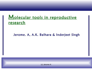 M olecular   tools in reproductive
research

  Jerome. A, A.K. Balhara & Inderjeet Singh




                  (c) Jerome A
 