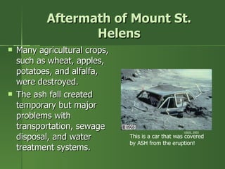 Aftermath of Mount St. Helens Many agricultural crops, such as wheat, apples, potatoes, and alfalfa, were destroyed. The ash fall created temporary but major problems with transportation, sewage disposal, and water treatment systems.  This is a car that was covered by ASH from the eruption! USGS, 2003 