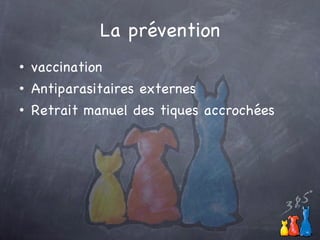 La prévention vaccination Antiparasitaires externes Retrait manuel des tiques accrochées 