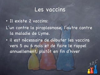 Les vaccins Il existe 2 vaccins: L’un contre la piroplasmose, l’autre contre la maladie de Lyme. il est nécessaire de débuter les vaccins vers 5 ou 6 mois et de faire le rappel annuellement, plut ôt en fin d’hiver 