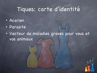 Tiques: carte d’identité Acarien Parasite Vecteur de maladies graves pour vous et vos animaux 