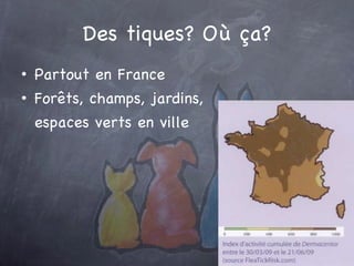 Des tiques? Où ça? Partout en France For êts, champs, jardins, espaces verts en ville 