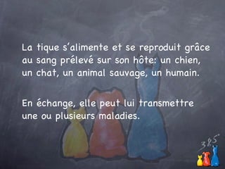 La tique s’alimente et se reproduit gr âce au  sang prélevé sur son h ôte: un chien, un chat, un animal sauvage, un humain. En échange, elle peut lui transmettre une ou plusieurs maladies.  