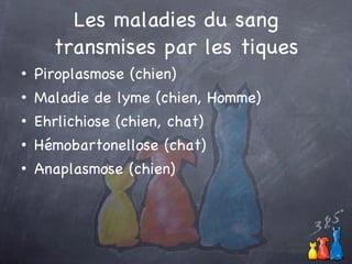 Les maladies du sang transmises par les tiques Piroplasmose (chien) Maladie de lyme (chien, Homme) Ehrlichiose (chien, chat) Hémobartonellose (chat) Anaplasmose (chien) 