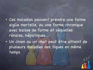 Ces maladies peuvent  prendre une forme aigüe mortelle, ou une forme chronique avec baisse de forme et séquelles rénales, hépatiques,… Un chien ou un chat peut être atteint de plusieurs maladies des tiques en même temps 