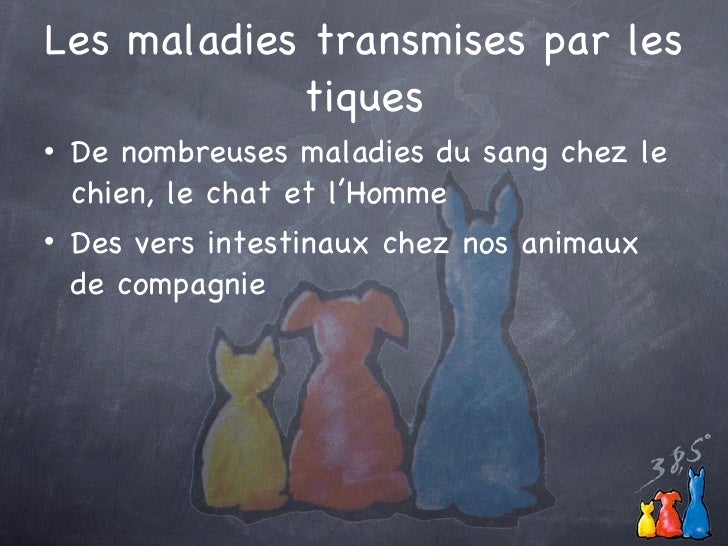 Maladies Transmises Par Les Tiques