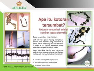 Suatu penyelidikan yang dilakukan
oleh beberapa pakar Jepang mengatakan
bahwa berat kotoran yang tersumbat di
dalam tubuh seseorang rata-rata beratnya
2 hingga 4 kg. Kotoran tersumbat adalah
sisa makanan yang tertinggal dalam
dalam usus kita, dan itu akan menempel
pada dinding usus dan diserap oleh lapisan
mukosa lalu menuju ke hati dan berakibat :
1. Kesulitan proses pembuangan racun
2. Terhambatnya proses metabolisme
3. Keracunan dalam tubuh
 