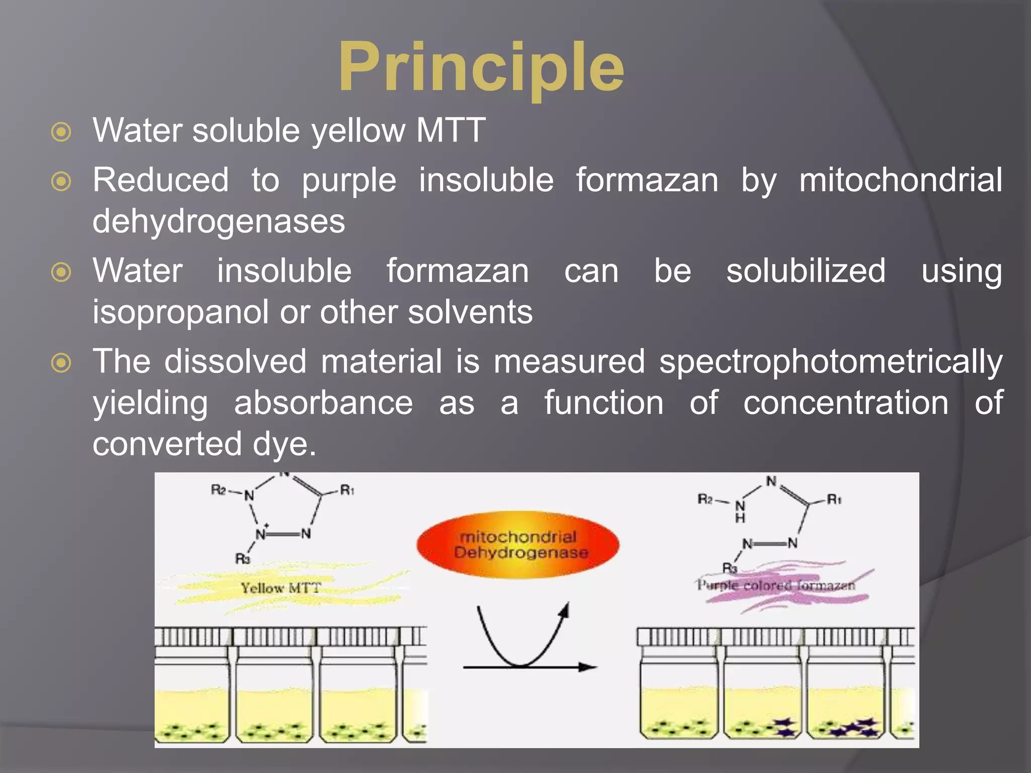 Principle 
 Water soluble yellow MTT 
 Reduced to purple insoluble formazan by mitochondrial 
dehydrogenases 
 Water insoluble formazan can be solubilized using 
isopropanol or other solvents 
 The dissolved material is measured spectrophotometrically 
yielding absorbance as a function of concentration of 
converted dye. 
 