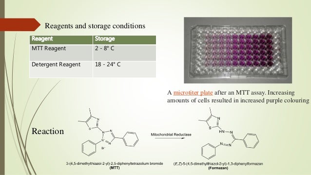 mtt cell proliferation assay mts assay