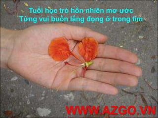 Xin được một lần quay lại lớp xưaBên cửa sổ nghe lời lá gọi