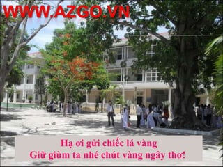 Bạnbèthuởấycònainhỉ?Giởtranglưubútnhớngàythơ