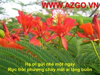 Thuở ấy ta như con chim nhỏBay giữa trời không chút âu lo.
