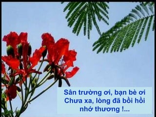 WWW.AZGO.VNRồi đây trong nắng tàn phai Biết ai còn nhớ tới ai trong đời ? 