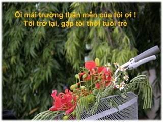 Gởi theo gió những lời muốn ngỏĐẹp lắm ai ơi, tuổi họctrò!WWW.AZGO.VN