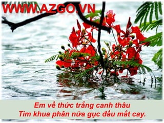 Em về nghe gió kêu đêm Giở trang sách cũ đếm riêng nỗi sầu 