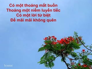 TranglưubútchắtchiubaokỷniệmMùahèơi! cótrởlạibaogiờWWW.AZGO.VN