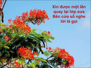 Thương hoài ghế gỗ bàn nâuẤm hơi bè bạn chụm đầu sớm trưaWWW.AZGO.VN