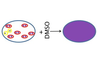 DMSO
+-+
+ +
+
      +
 