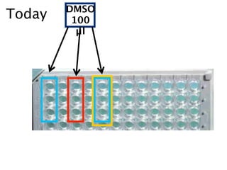 DMSO
Today    100
          µl
 