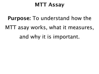 MTT Assay

Purpose: To understand how the
MTT asay works, what it measures,
     and why it is important.
 