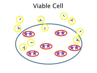 Viable Cell




                         -+
                           +


                               +
                 +
 +




                 +
                 +
+ -




                                +
    +




                               +
                   +
                   +
                   -
+




                                         -
 +




                                            +
                                                +



            -
            +
            +
                                    +
                                        +
                                        +


        +
        +
        +
 