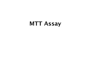 MTT Assay
 