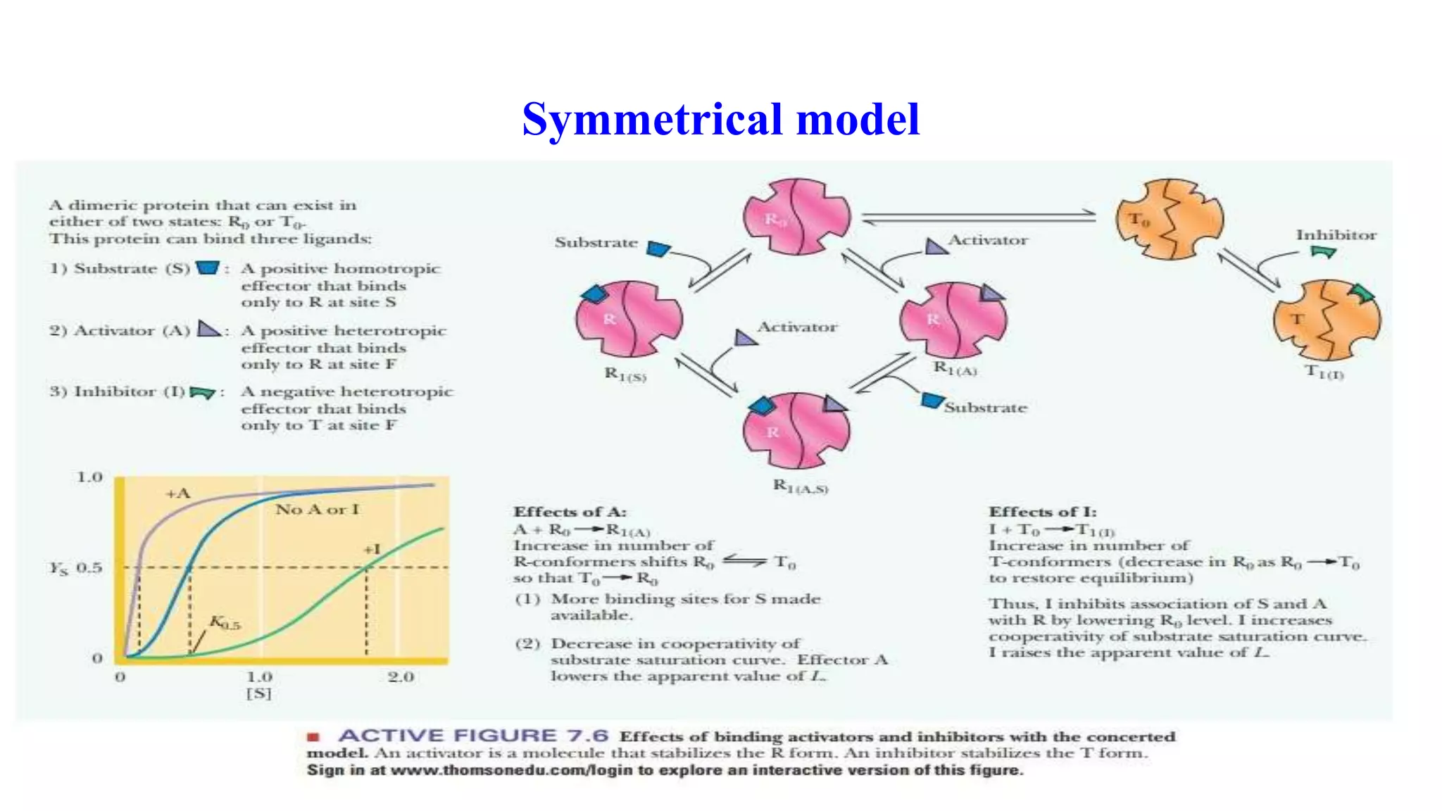 Allosteric and feedback regulation | PPTX
