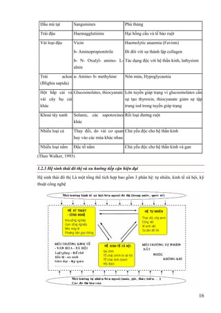 16
Dầu mù tạt Sanguinines Phù thủng
Trái đậu Haemagglutinins Hại hồng cầu và tế bào ruột
Vài loại đậu Vicin
b- Aminopropionitrile
b- N- Oxalyl- amino- L-
alnin
Haemolytic anaemia (Favism)
Đi đôi với sự thành lập collagen
Tác dụng độc với hệ thần kinh, lathysism
Trái ackee
(Blighia sapida)
a- Amino- b- methylene Nôn mửa, Hypoglycaenia
Hột bắp cải và
vài cây họ cải
khác
Glucosinolates, thiocyanate Lớn tuyến giáp trạng vì glucosinolates cần
sự tạo thyroxin, thiocyanate giảm sự tập
trung iod trong tuyến giáp trạng
Khoai tây xanh Solanie, các sapotoxines
khác
Rối loại đường ruột
Nhiều loại cá Thay đổi, do vài cơ quan
hay vào các mùa khác nhau
Chủ yếu độc cho hệ thần kinh
Nhiều loại nấm Độc tố nấm Chủ yếu độc cho hệ thần kinh và gan
(Theo Walker, 1993)
1.2.3 Hệ sinh thái đô thị và xu hướng tiếp cận hiện đại
Hệ sinh thái đô thị Là một tổng thể tích hợp bao gồm 3 phân hệ: tự nhiên, kinh tế xã hội, kỹ
thuật công nghệ
 