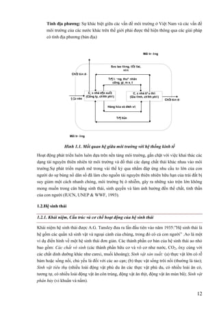 12
Tính địa phƣơng: Sự khác biệt giữa các vấn đề môi trường ở Việt Nam và các vấn đề
môi trường của các nước khác trên thế giới phải được thể hiện thông qua các giải pháp
có tính địa phương (bản địa)
Hình 1.1. Mối quan hệ giữa môi trường với hệ thống kinh tế
Hoạt động phát triển luôn luôn dựa trên nền tảng môi trường, gắn chặt với việc khai thác các
dạng tài nguyên thiên nhiên từ môi trường và đổ thải các dạng chất thải khác nhau vào môi
trường.Sự phát triển mạnh mẽ trong vài thế kỷ qua nhằm đáp ứng nhu cầu to lớn của con
người do sự bùng nổ dân số đã làm cho nguồn tài nguyên thiên nhiên hữu hạn của trái đất bị
suy giảm một cách nhanh chóng, môi trường bị ô nhiễm, gây ra những xáo trộn lớn không
mong muốn trong cân bằng sinh thái, sinh quyển và làm ảnh hưởng đến thể chất, tinh thần
của con người (IUCN, UNEP & WWF, 1993).
1.2.Hệ sinh thái
1.2.1. Khái niệm, Cấu trúc và cơ chế hoạt động của hệ sinh thái
Khái niệm hệ sinh thái được A.G. Tansley đưa ra lần đầu tiên vào năm 1935:”Hệ sinh thái là
hệ gồm các quần xã sinh vật và ngoại cảnh của chúng, trong đó có cả con người” .Ao là một
ví dụ điển hình về một hệ sinh thái đơn giản. Các thành phần cơ bản của hệ sinh thái ao nhỏ
bao gồm: Các chất vô sinh (các thành phần hữu cơ và vô cơ như nước, CO2, ôxy cùng với
các chất dinh dưỡng khác như canxi, muối khoáng); Sinh vật sản xuất: (a) thực vật lớn có rễ
bám hoặc sống nổi, chủ yếu là đối với các ao cạn; (b) thực vật sống trôi nổi (thường là tảo);
Sinh vật tiêu thụ (nhiều loài động vật phù du ăn các thực vật phù du, có nhiều loài ăn cỏ,
tương tự, có nhiều loài động vật ăn côn trùng, động vật ăn thịt, động vật ăn mùn bã); Sinh vật
phân hủy (vi khuẩn và nấm).
M«i tr-êng
M«i tr-êng
C¸c nhµ s¶n xuÊt
(C«ng ty, chÝnh phñ)
C¸c nhµ tiªu thô
(Gia ®×nh, chÝnh phñ)
Søc lao ®éng, ®Êt ®ai,
vèn
Tr¶ l-¬ng, thuª nh©n
c«ng, gi¸m s¸t
Hµng hãa vµ dÞch vô
ChÊt tån d-
§Çu vµo ChÊt tån d-
Tr¶ tiÒn
 