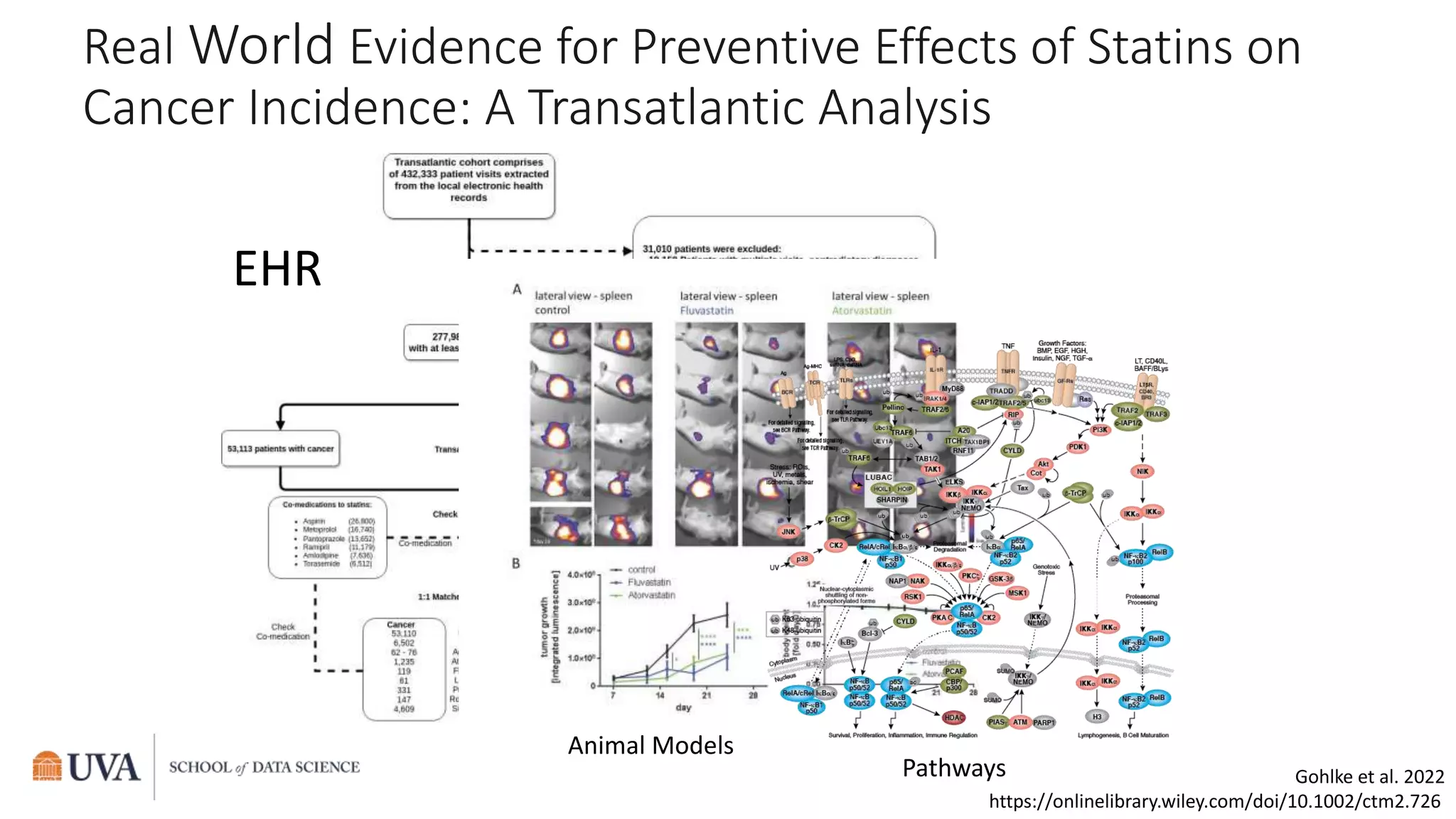 Gohlke et al. 2022
https://onlinelibrary.wiley.com/doi/10.1002/ctm2.726
Real World Evidence for Preventive Effects of Statins on
Cancer Incidence: A Transatlantic Analysis
EHR
Animal Models
Pathways
 
