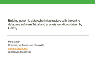 Building genomic data cyberinfrastructure with the online
database software Tripal and analysis workflows driven by
Galaxy
Meg Staton
University of Tennessee, Knoxville
mstaton1@utk.edu
@hardwoodgenomics
 