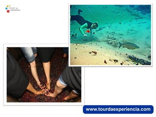 www.tourdaexperiencia.com
 