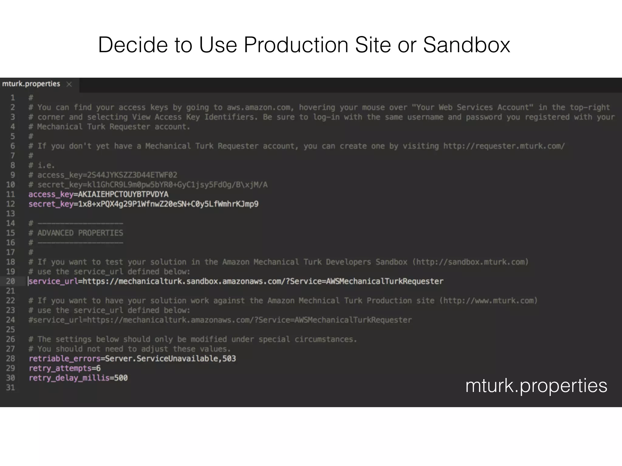 mturk.properties
Decide to Use Production Site or Sandbox
 